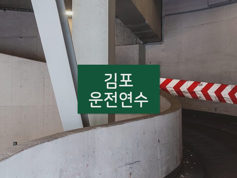 김포운전연수 후기