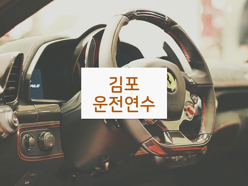 김포운전연수 후기