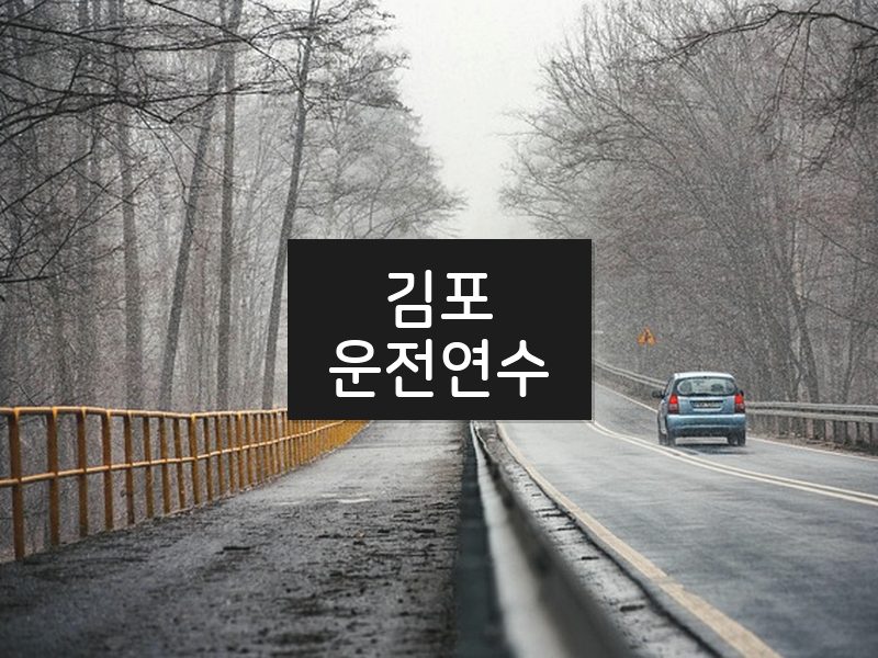 김포운전연수 후기