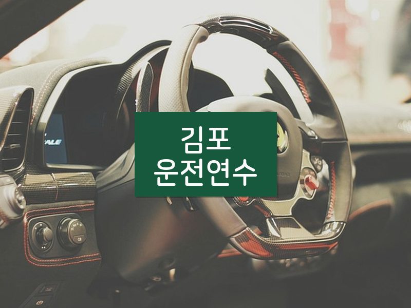 김포운전연수 후기