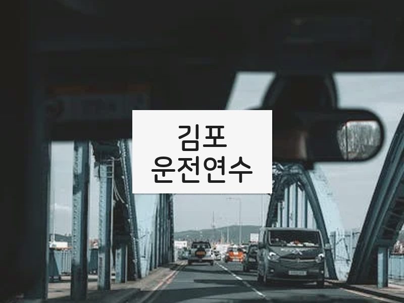 김포운전연수 후기