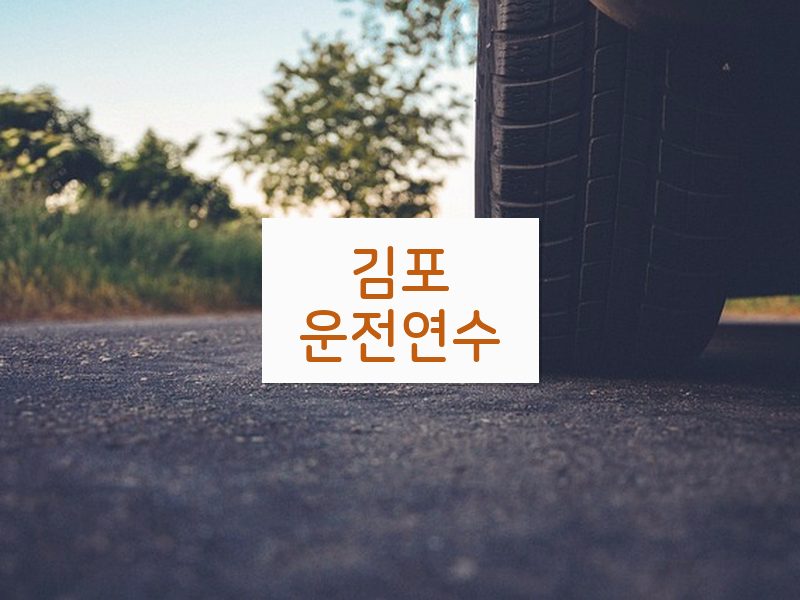 김포운전연수 후기