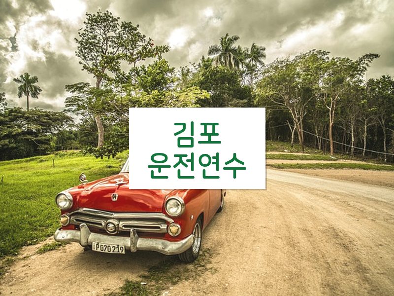 김포운전연수 후기