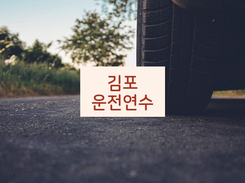 김포운전연수 후기