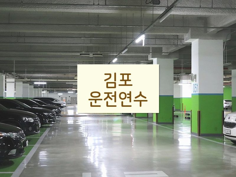 김포운전연수 후기