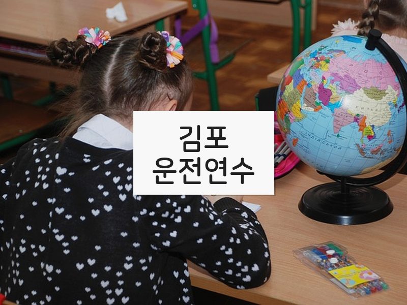 김포운전연수 후기