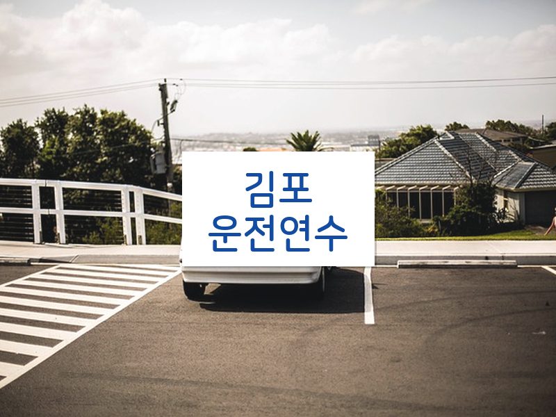 김포운전연수 후기