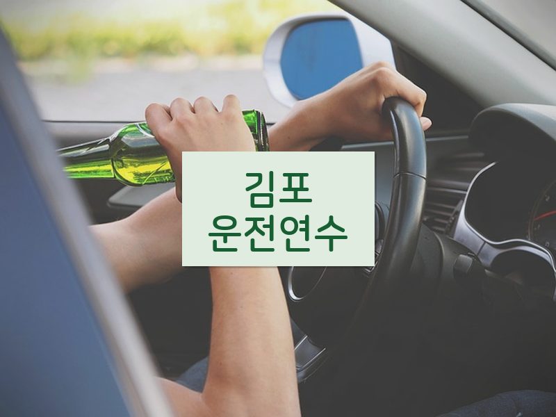 김포운전연수 후기
