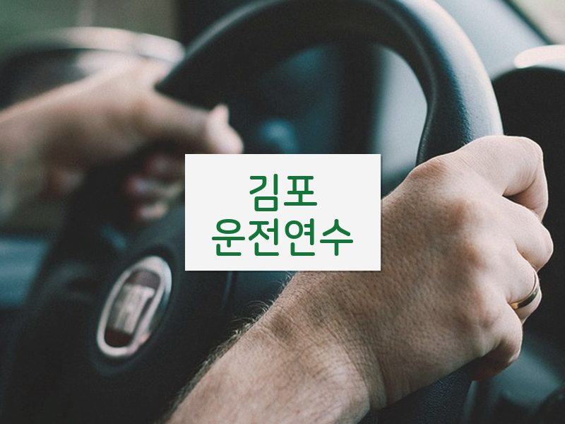 김포운전연수 후기