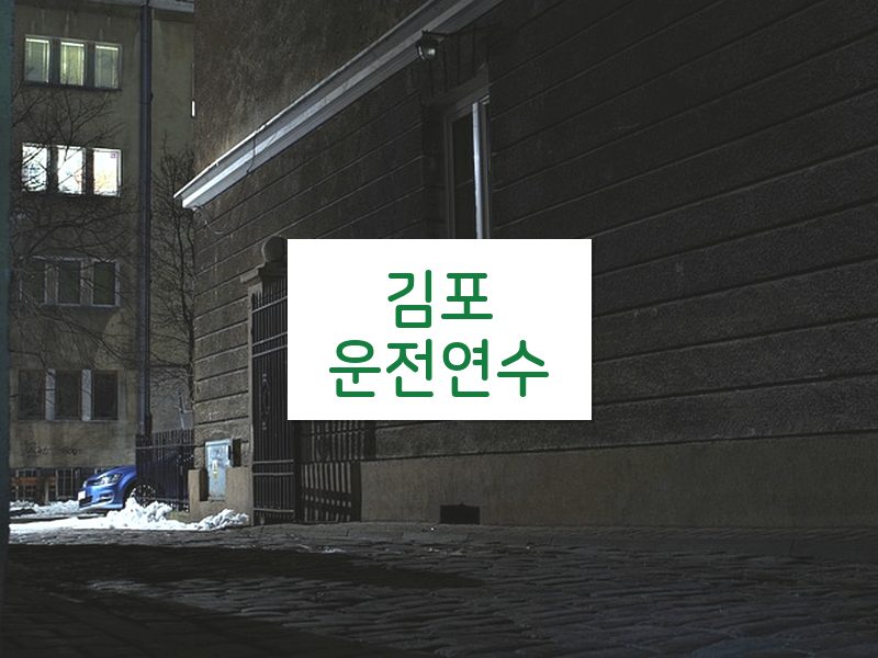 김포운전연수 후기