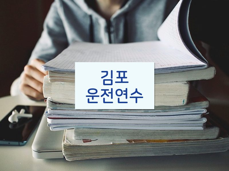 김포운전연수 후기