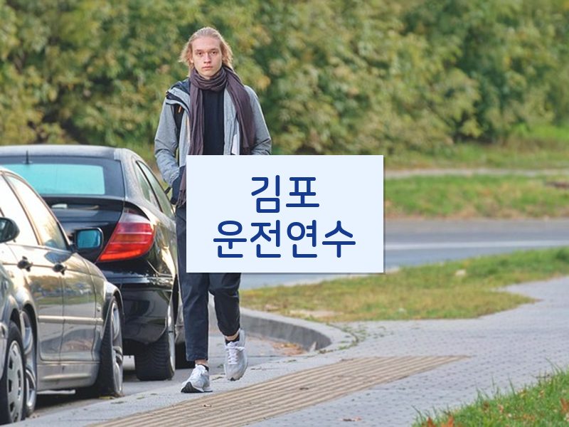 김포운전연수 후기