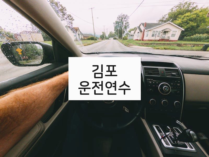김포운전연수 후기