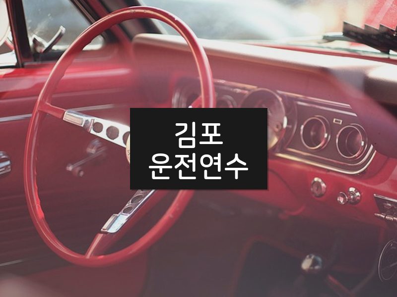 김포운전연수 후기