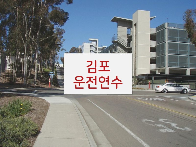김포운전연수 후기