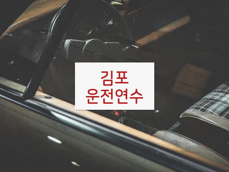 김포운전연수 후기