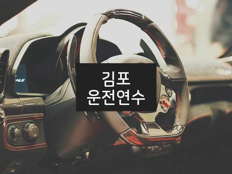 김포운전연수 후기