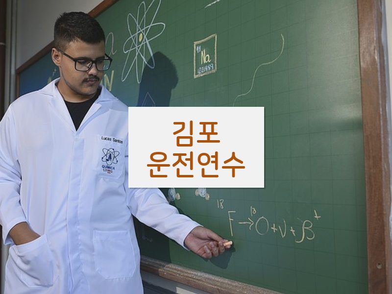 김포운전연수 후기