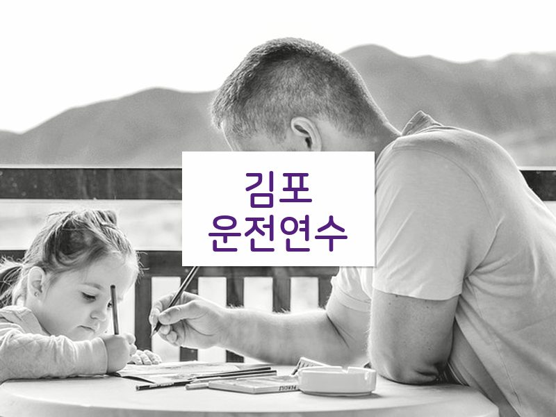 김포운전연수 후기