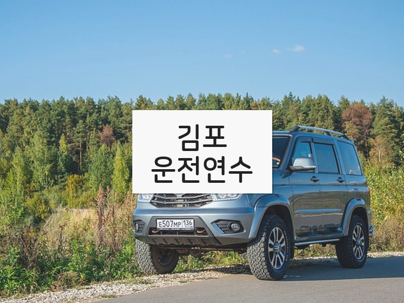김포운전연수 후기