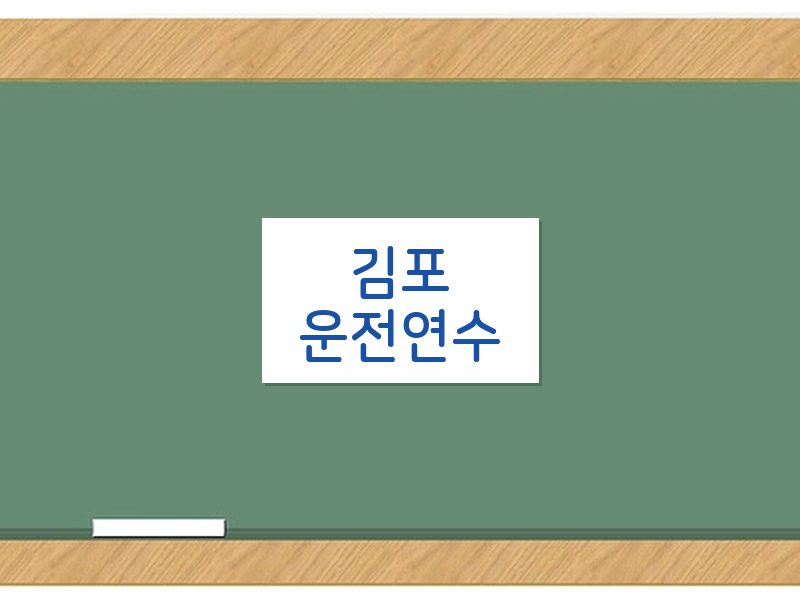 김포운전연수 후기