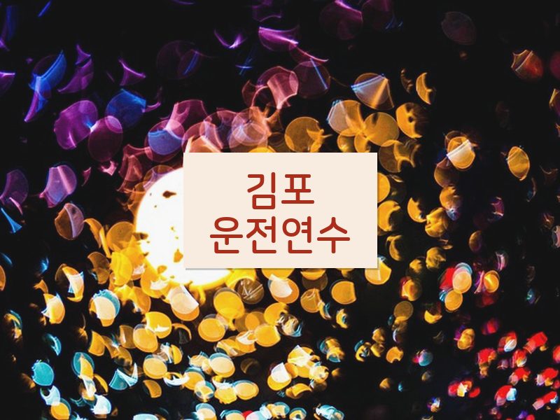 김포운전연수 후기