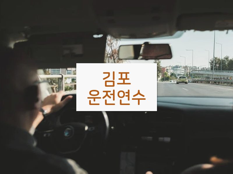 김포운전연수 후기