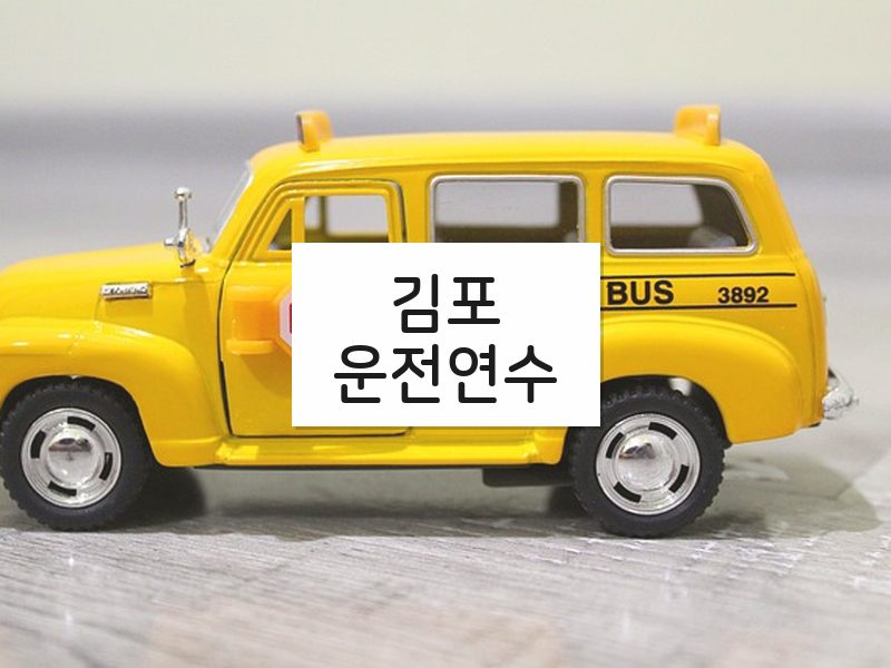 김포운전연수 후기