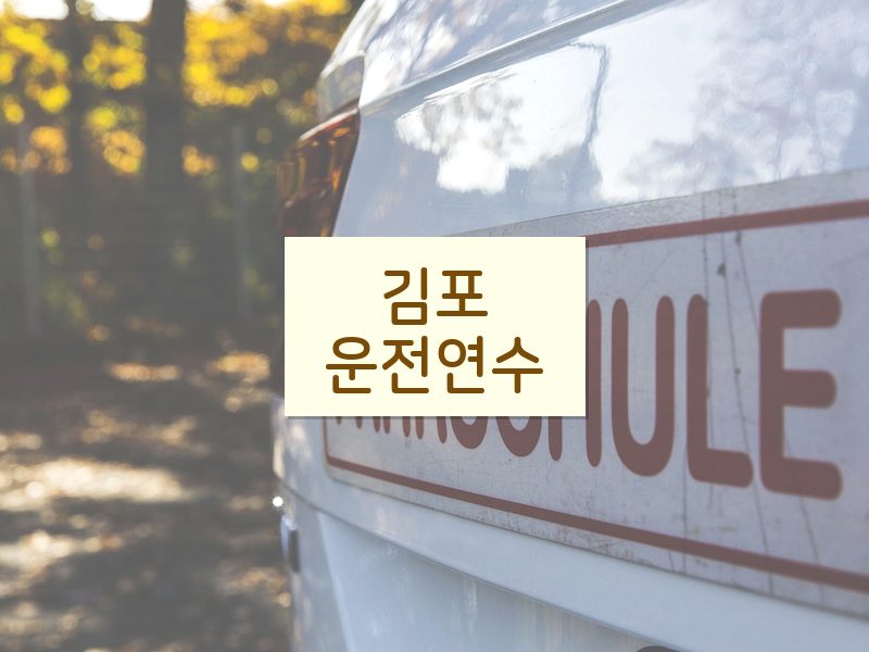 김포운전연수 후기