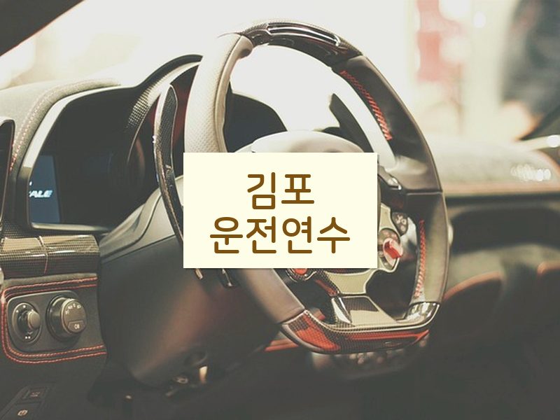 김포운전연수 후기