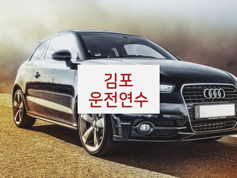 김포운전연수 후기