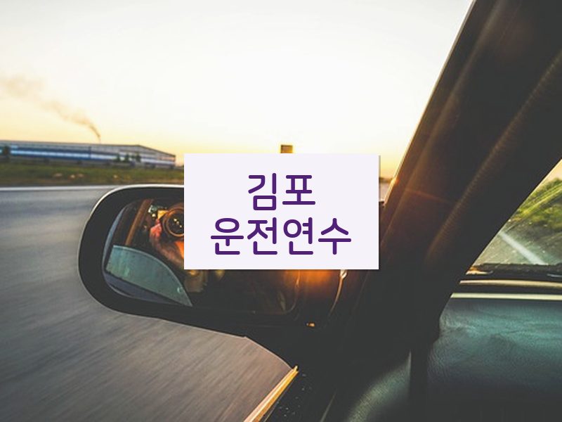 김포운전연수 후기