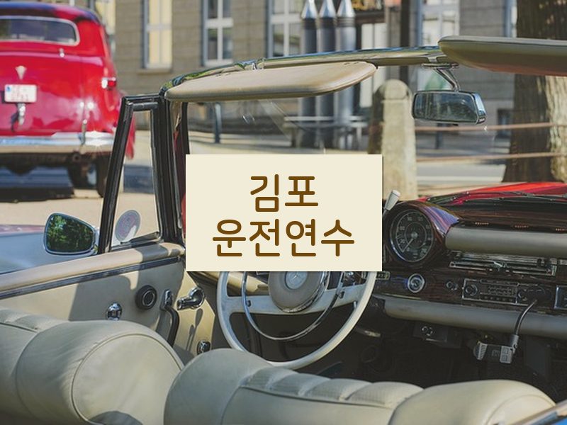 김포운전연수 후기