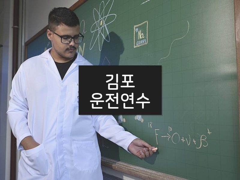 김포운전연수 후기