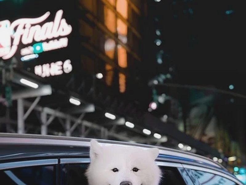 김포운전연수 후기