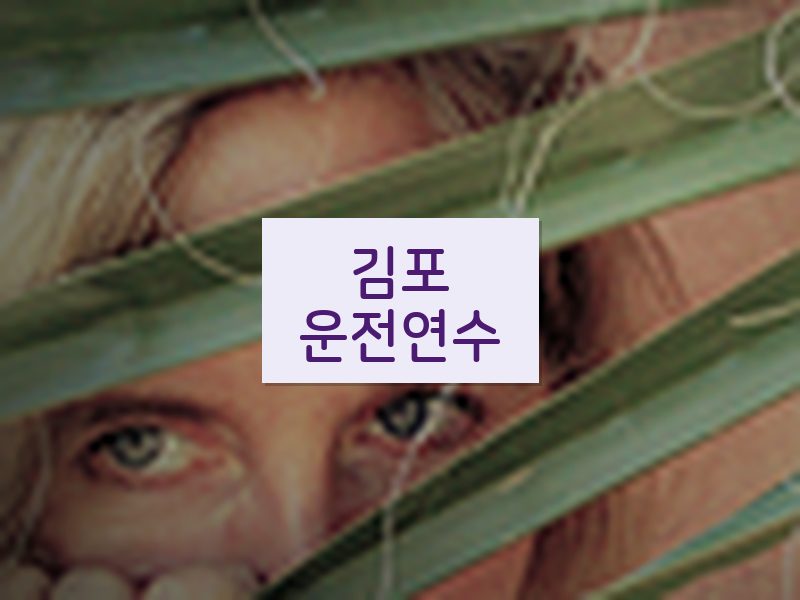 김포운전연수 후기