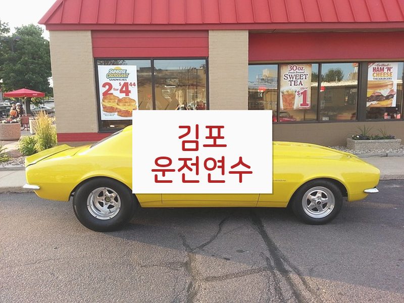 김포운전연수 후기
