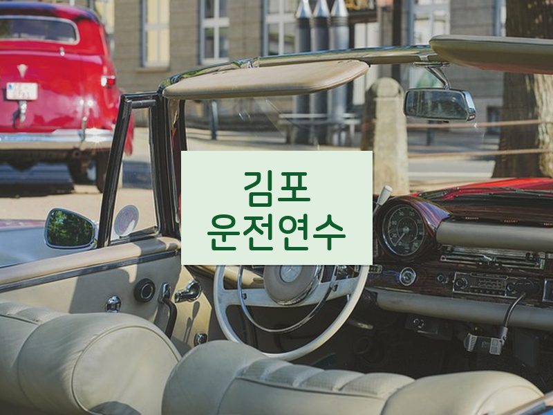 김포운전연수 후기