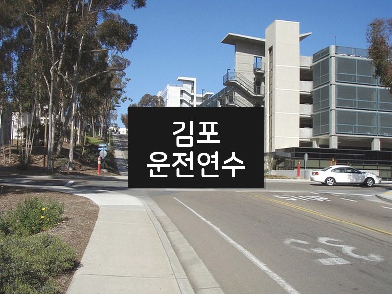 김포운전연수 후기