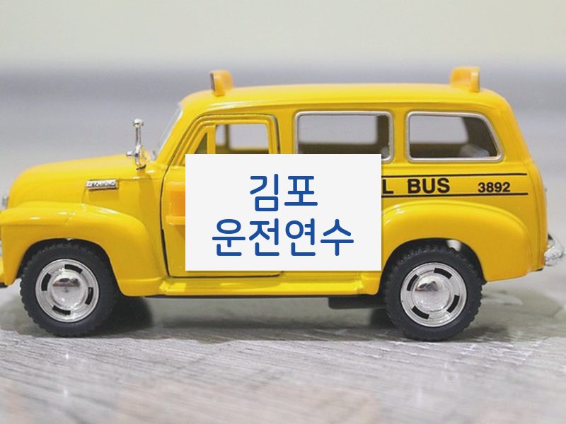 김포운전연수 후기