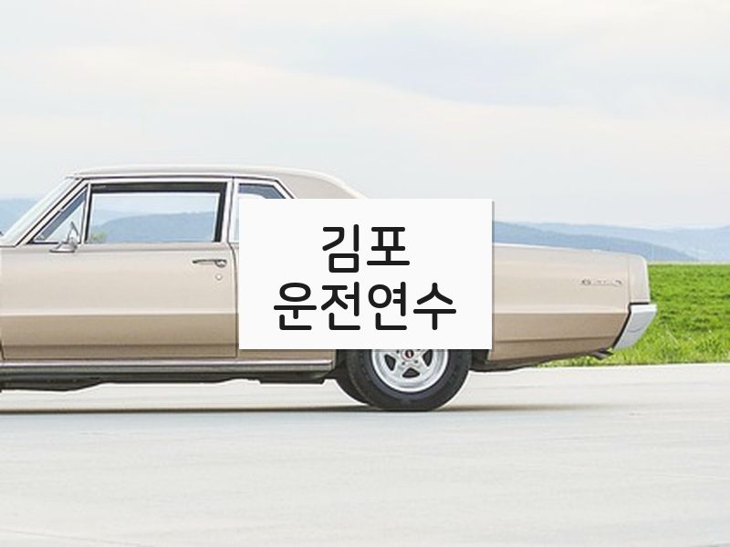 김포운전연수 후기