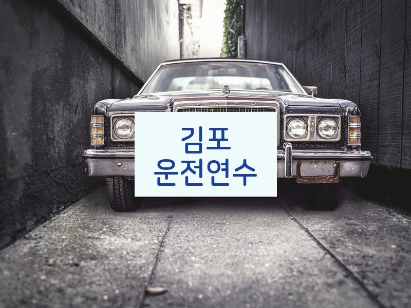 김포운전연수 후기