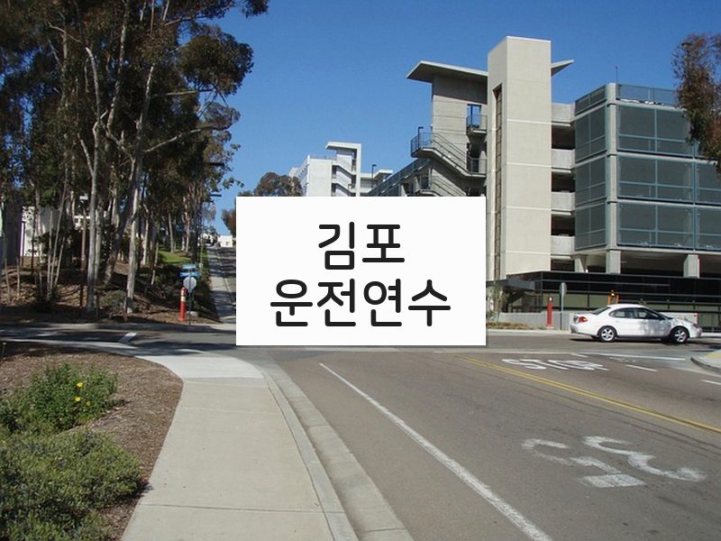 김포운전연수 후기