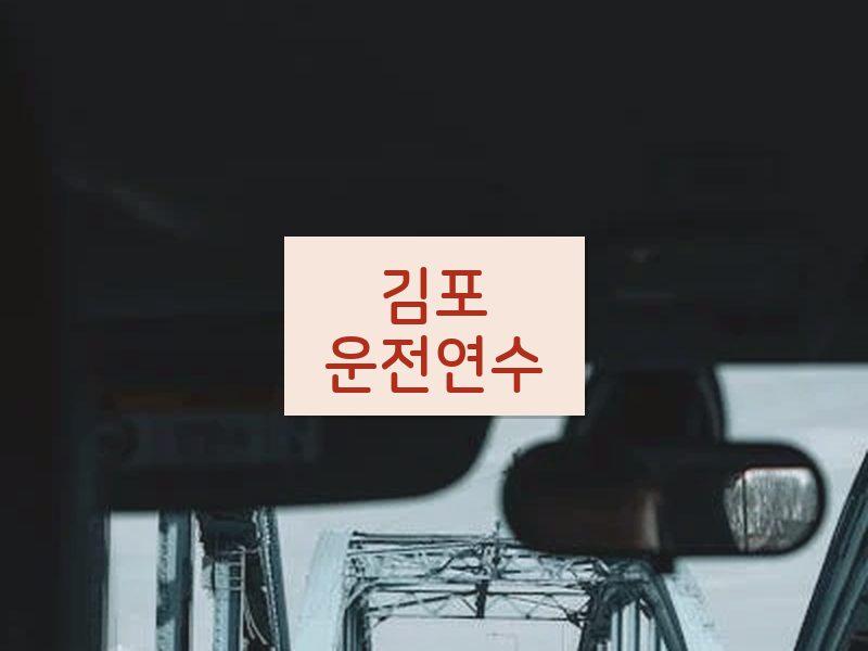 김포운전연수 후기