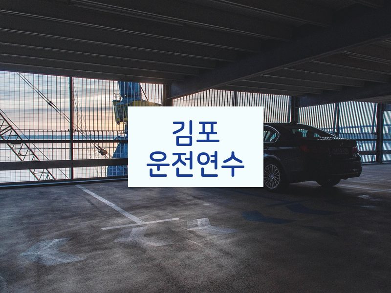 김포운전연수 후기