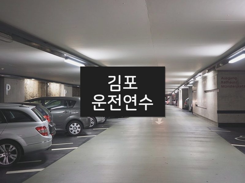 김포운전연수 후기