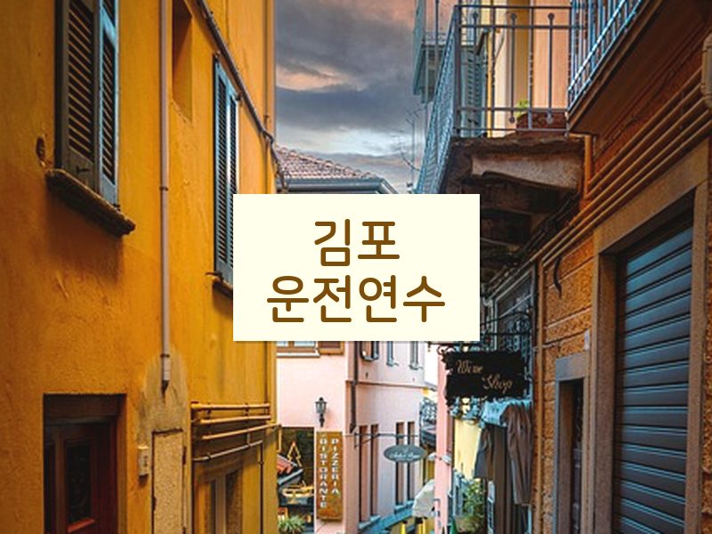 김포운전연수 후기