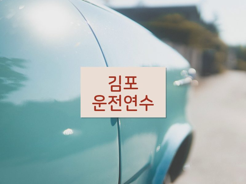 김포운전연수 후기