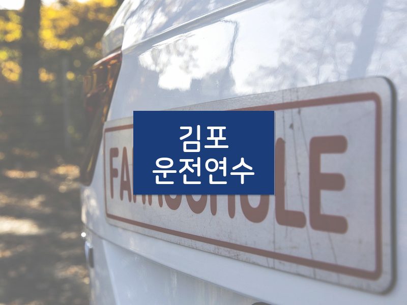 김포운전연수 후기