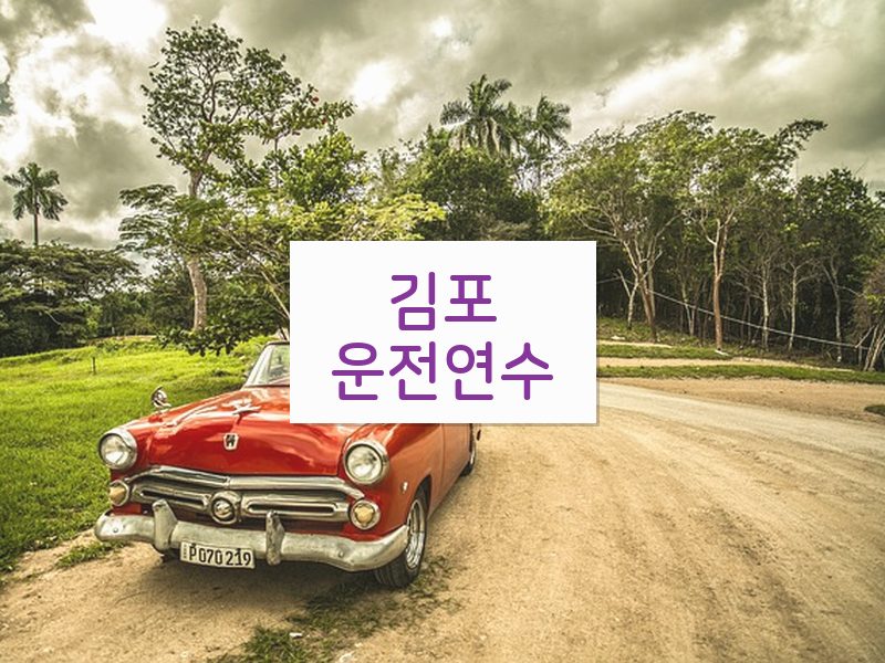 김포운전연수 후기
